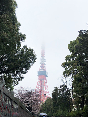 tower.jpg