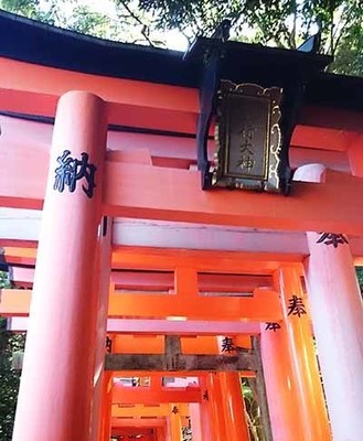 千本鳥居.jpg