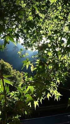 高山寺3.jpg
