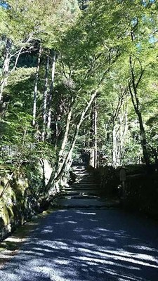 高山寺8.jpg