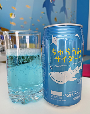 okinawa_day2_13.png