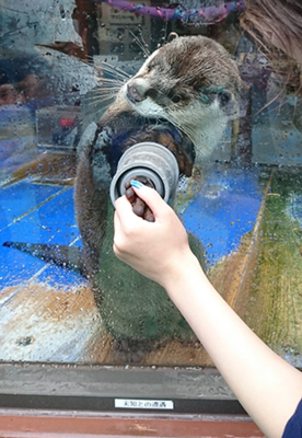 photo26.png